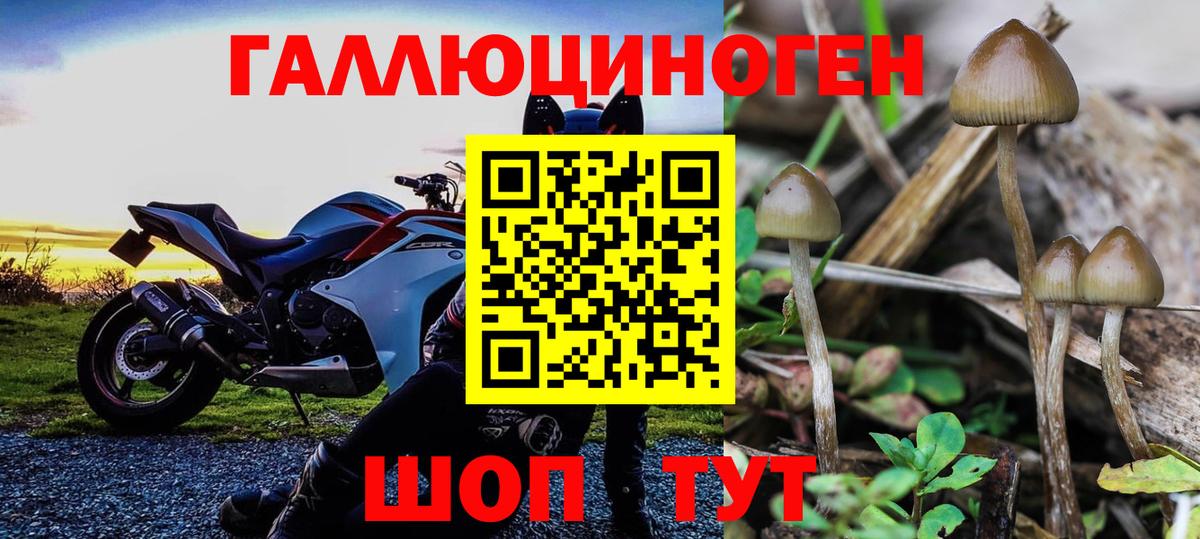 Калининград  Псилоцибиновые грибы MAGIC MUSHROOMS  Псилоцибиновые грибы Psilocybe  Вход с VPN 